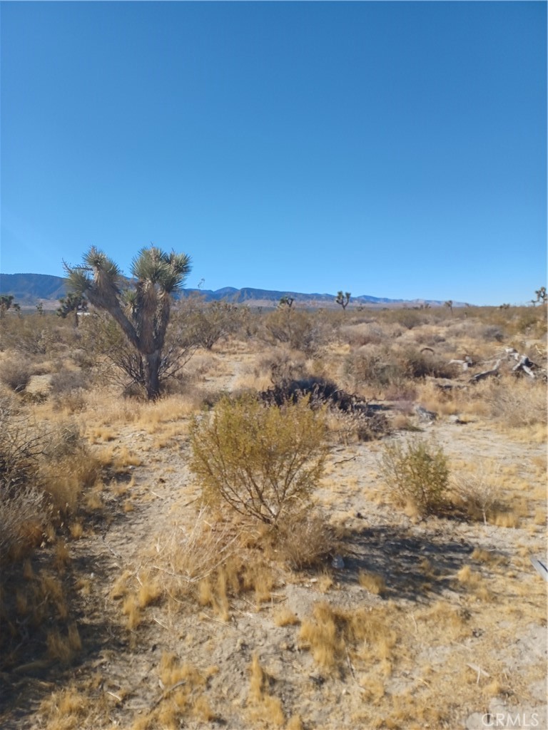 MLS #CV25117783 image #4