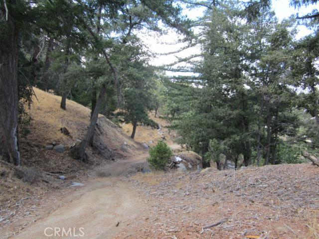 Detail Gallery Image 13 of 24 For 0 Burnt Mill Canyon Rd, Cedarpines Park,  CA 92322 - – Beds | – Baths