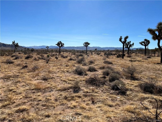 59347 Aberdeen Drive, Yucca Valley, California 92284, ,Land,For Sale,59347 Aberdeen Drive,CRIV24248088