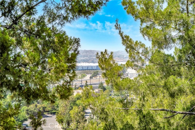 873 Terrace Lane W, Diamond Bar CA: https://media.crmls.org/medias/c7791df3-781b-4e0b-98b3-81f6daa1234c.jpg