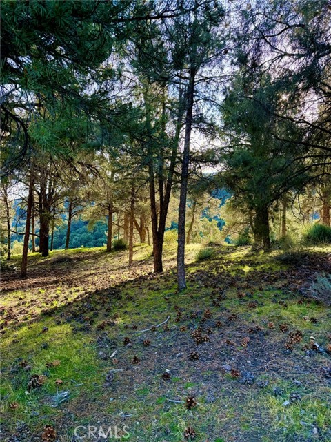 Detail Gallery Image 2 of 7 For 2604 Tirol, –,  CA 93225 - – Beds | – Baths