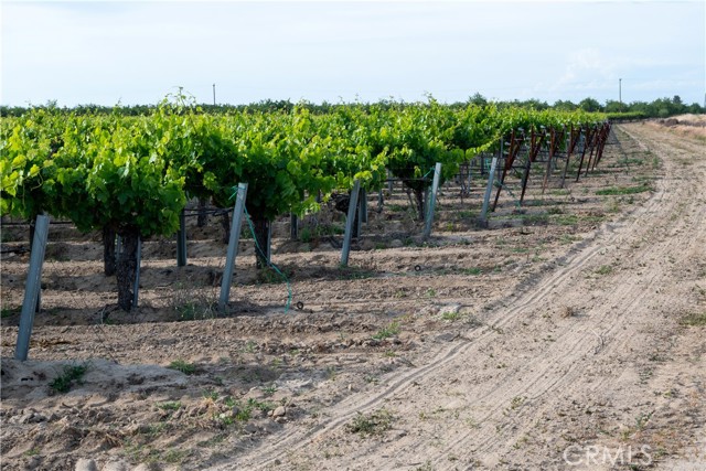 Image 10 of 49 For 5702 Highway 145