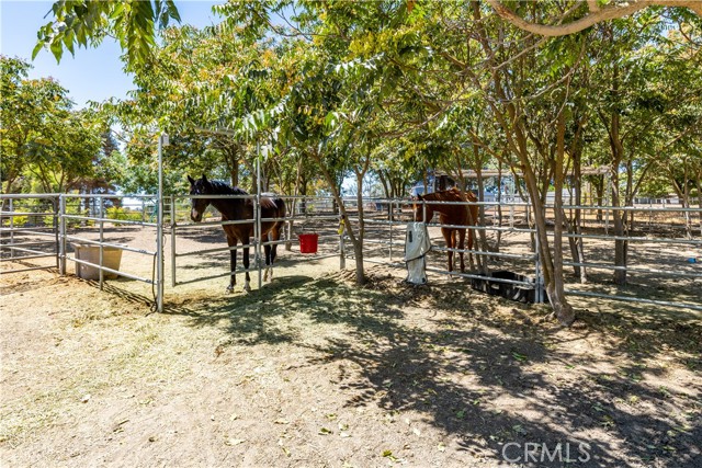 4225 Farousse Way, Paso Robles CA: https://media.crmls.org/medias/c782d8ed-c2a5-4ef8-99a0-22c106ffa4e8.jpg