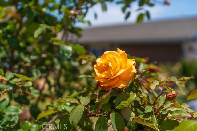Detail Gallery Image 2 of 42 For 17482 Bellport Cir, Huntington Beach,  CA 92649 - 4 Beds | 2 Baths