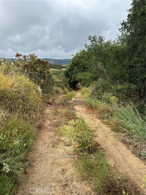 0 Via De La Roca, Fallbrook, California 92028, ,Land,For Sale,0 Via De La Roca,CRSW23103584