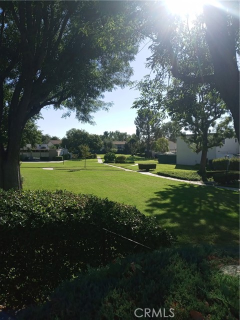 Peaceful green belts