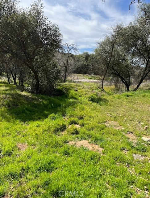 0 Hwy 49, Mariposa, CA, 95338 0 Hwy 49, Mariposa, CA, 95338