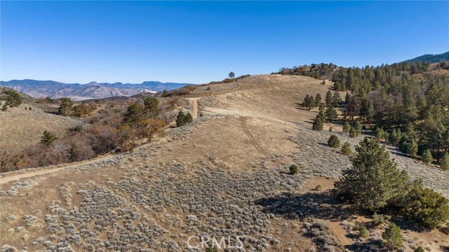 Detail Gallery Image 13 of 17 For 0 Alpine Forest Park, Tehachapi,  CA 92356 - – Beds | – Baths