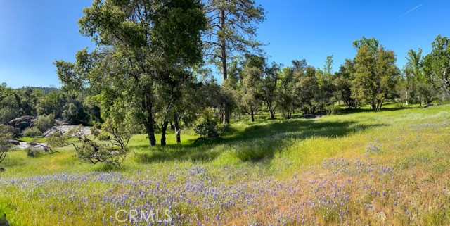 Detail Gallery Image 70 of 70 For 4683 Morningstar Ln, Mariposa,  CA 95338 - – Beds | – Baths