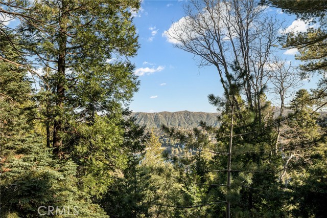 Detail Gallery Image 25 of 40 For 24502 Albrun Ct, Crestline,  CA 92325 - 3 Beds | 2/1 Baths