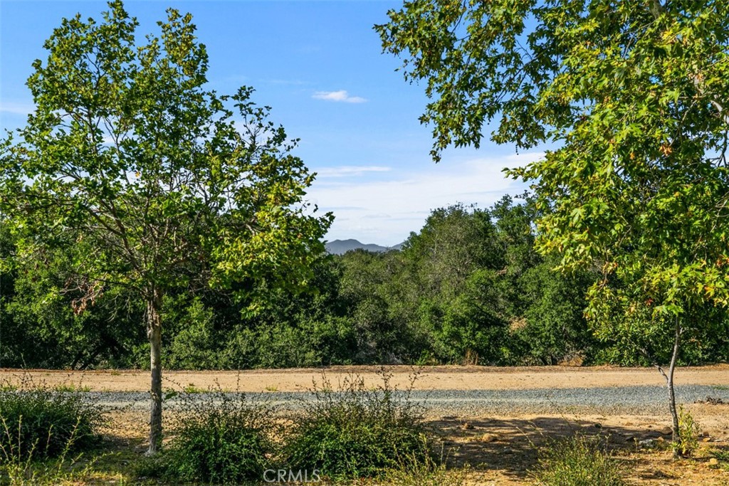 https://media.crmls.org/medias/c7931481-5acf-47c3-b142-07382111a936.jpg?preset=X-Large