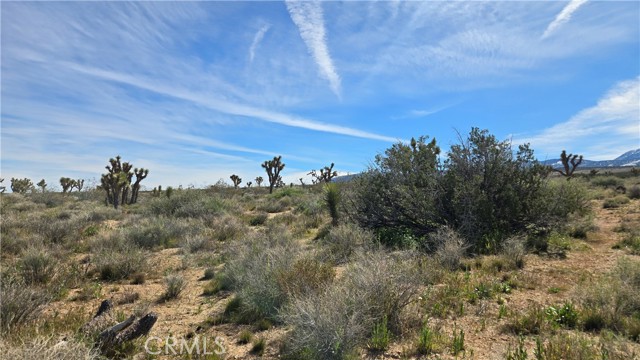 Detail Gallery Image 34 of 50 For 0 Fort Tejon Rd Vicinity 181st St E, Llano,  CA 93544 - – Beds | – Baths
