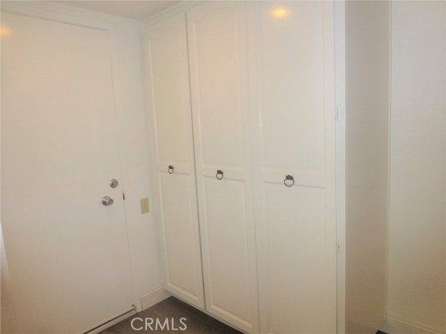 Closet in entry hall