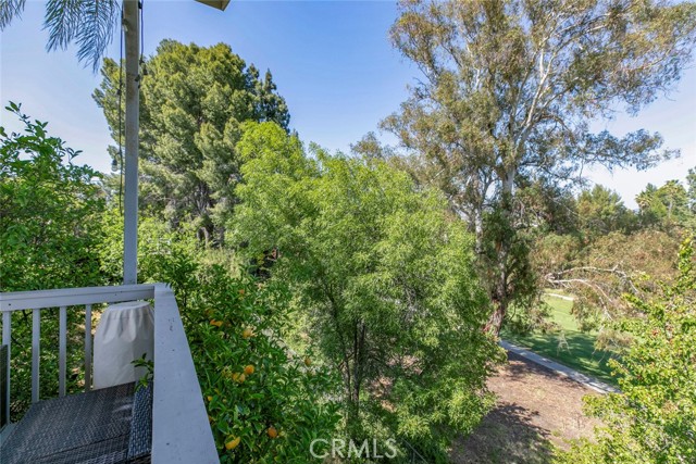 12410 Mclennan Avenue, Granada Hills CA: https://media.crmls.org/medias/c79d1198-ce6a-4055-be6e-cf03d630e118.jpg