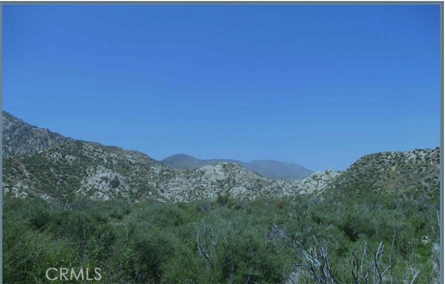 Front Image Thumbnail for CRDW26064823