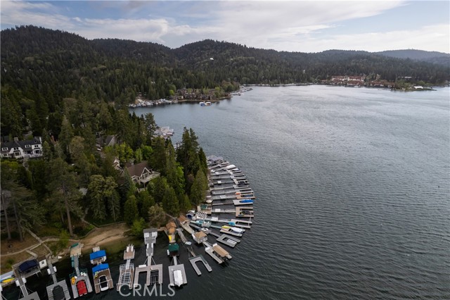 Detail Gallery Image 36 of 38 For 313 John Muir Rd, Lake Arrowhead,  CA 92352 - 3 Beds | 2/2 Baths
