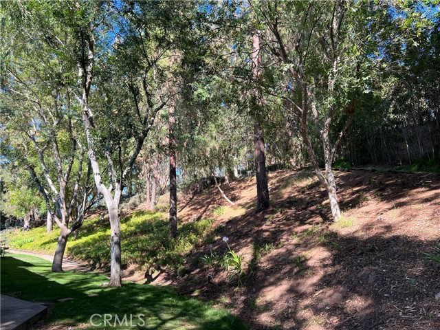 22042 Caminito Vino, Laguna Hills CA: https://media.crmls.org/medias/c7a12b3c-af7a-4d6b-80cc-80ac21f9be27.jpg
