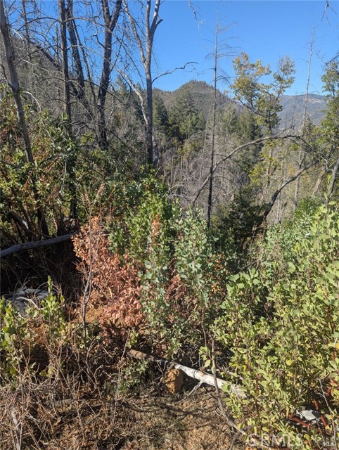 Detail Gallery Image 5 of 38 For 1833 Hunter Point Rd, Upper Lake,  CA 95485 - – Beds | – Baths