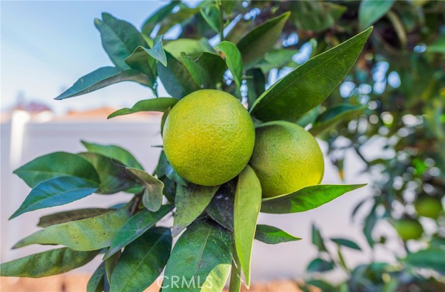 Detail Gallery Image 40 of 40 For 13022 S Budlong Ave, Gardena,  CA 90247 - 4 Beds | 2 Baths