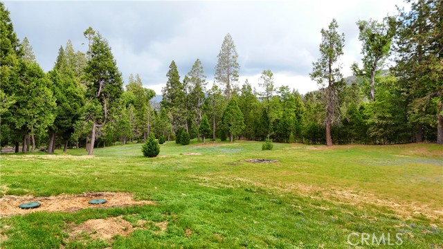 Detail Gallery Image 59 of 69 For 7072 Cranes Nest Rd, Mariposa,  CA 95338 - 1 Beds | 1 Baths