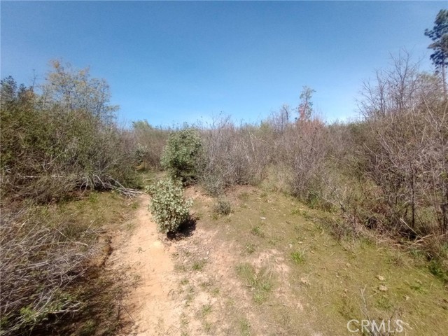 Detail Gallery Image 13 of 27 For 3515 Hoffman, Oroville,  CA 95965 - – Beds | – Baths