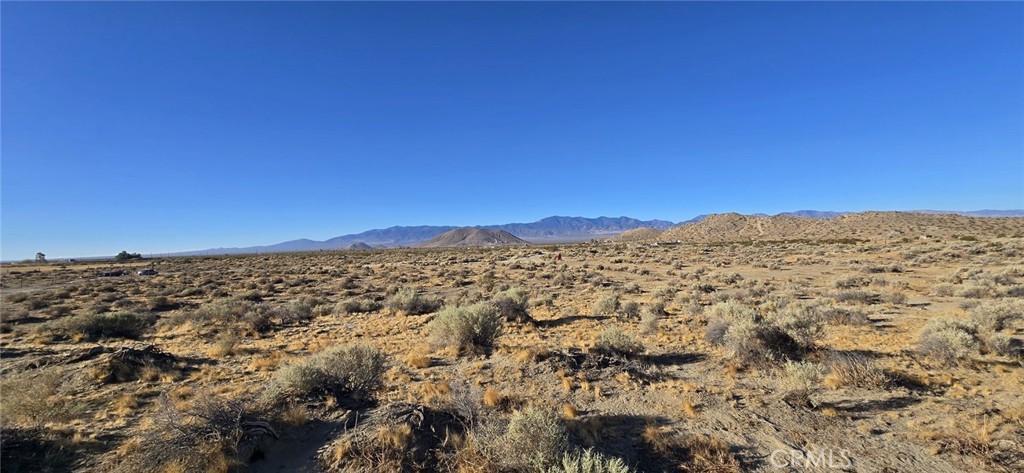 MLS #DW24154757 image #7