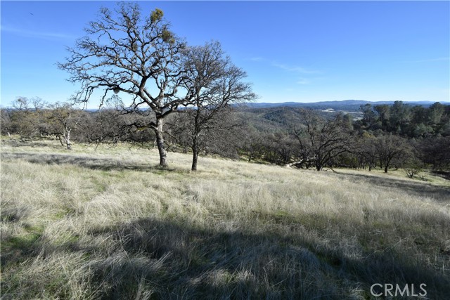 Image 3 for 1193 Oregon Gulch Rd, Oroville, CA 95965