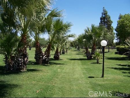 Detail Gallery Image 3 of 4 For 1418 Sunflower, Palm Springs,  CA 92262 - 2 Beds | 1 Baths