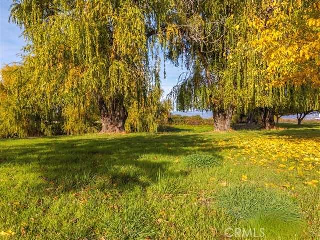 Detail Gallery Image 56 of 71 For 8 Queen Ann, Lakeport,  CA 95453 - 3 Beds | 2/1 Baths