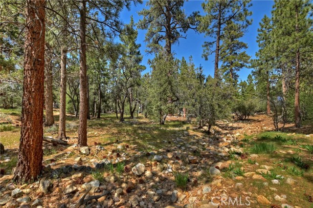 Detail Gallery Image 53 of 63 For 1010 Heritage Trl, Big Bear City,  CA 92314 - 4 Beds | 4 Baths
