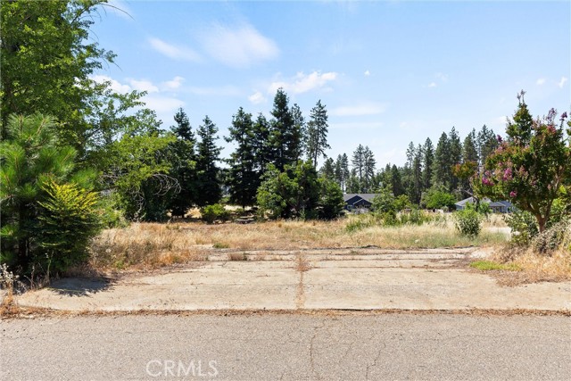 Front Image Thumbnail for CRSN26187953