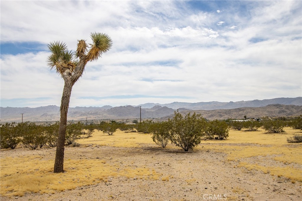 MLS #JT25261609 image #10