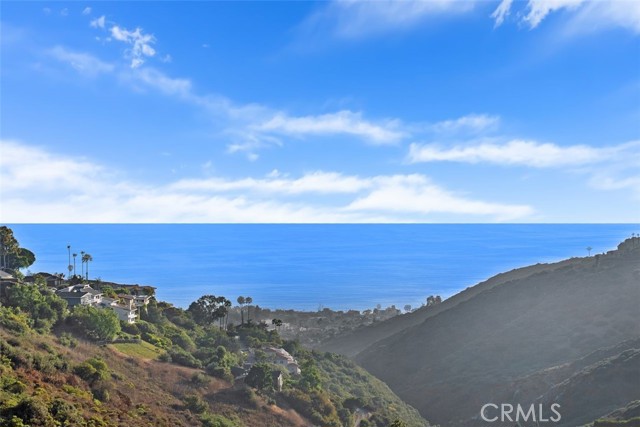 2516 Temple Hills Drive, Laguna Beach CA: https://media.crmls.org/medias/c7c40eb5-84c8-40f2-980d-754b713238cf.jpg