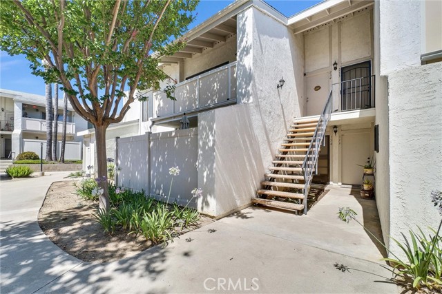 Front Image Thumbnail for CRWS26129553