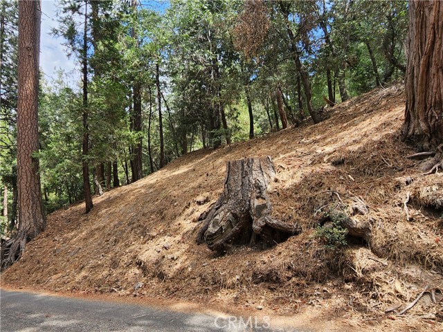 601 Electra, Crestline, CA, 92325 601 Electra, Crestline, CA, 92325