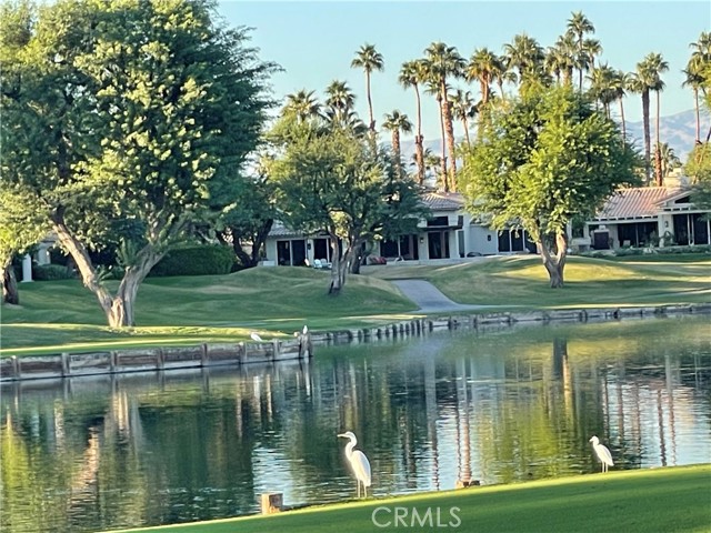 Detail Gallery Image 16 of 72 For 54015 Southern, La Quinta,  CA 92253 - 5 Beds | 4 Baths