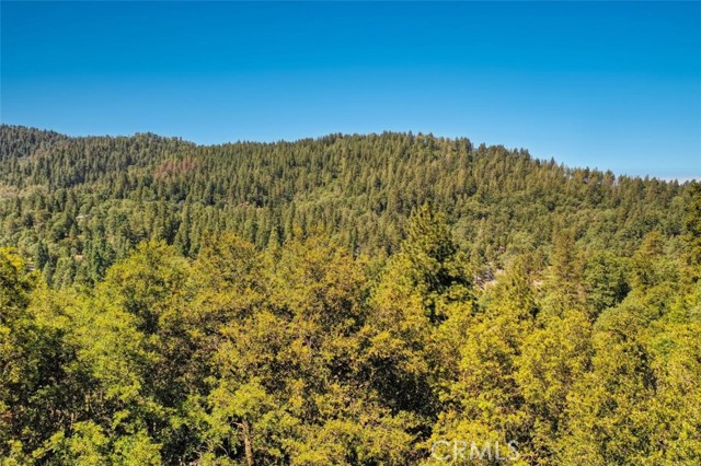 0 Cochran Rd, Cedarpines Park, California 92391, ,Land,For Sale,0 Cochran Rd,CREV22196824