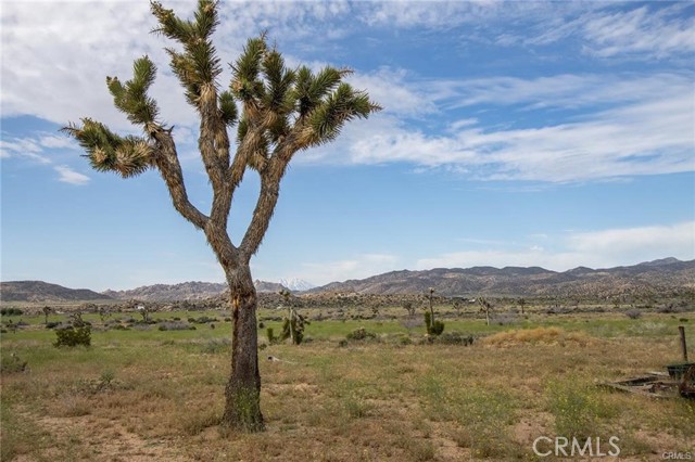 Detail Gallery Image 10 of 24 For 52550 Geronimo Trl, Pioneertown,  CA 92268 - – Beds | – Baths