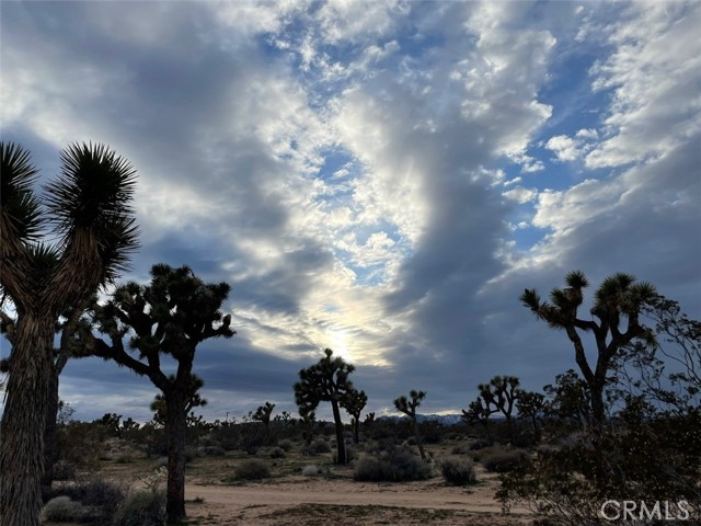 Detail Gallery Image 16 of 22 For 0 La Brisa Dr, Yucca Valley,  CA 92284 - – Beds | – Baths