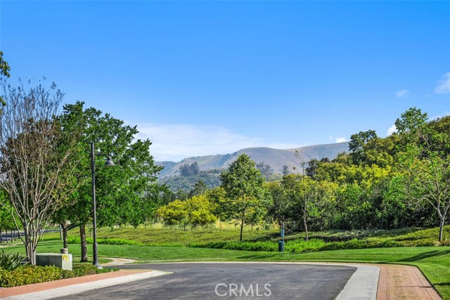 Detail Gallery Image 34 of 34 For 53 Painted Cameo, Irvine,  CA 92602 - 4 Beds | 4 Baths