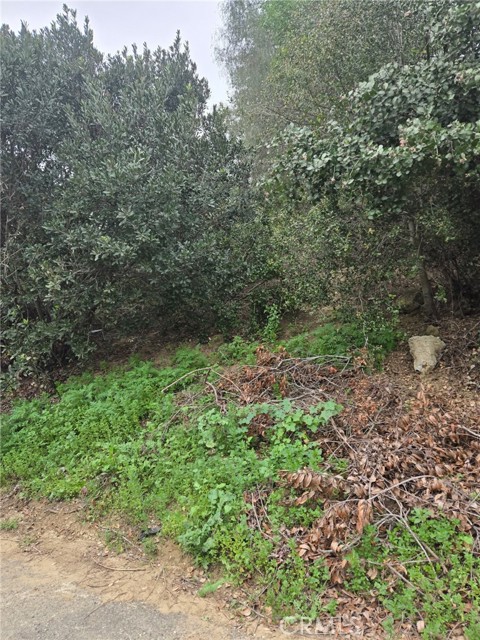 Detail Gallery Image 8 of 10 For 16872 Sumach, Chino Hills,  CA 91709 - – Beds | – Baths