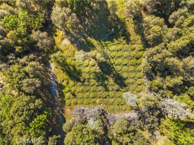 Detail Gallery Image 5 of 32 For 1371 Moccasin Trl, Placerville,  CA 95667 - – Beds | – Baths