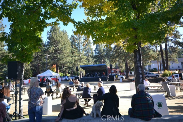 889 Mcalister Road, Big Bear CA: https://media.crmls.org/medias/c821d591-b900-4172-8185-01c55853207e.jpg
