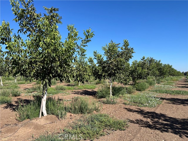 Detail Gallery Image 15 of 18 For 0 Kelly Ln, Chico,  CA 95973 - – Beds | – Baths