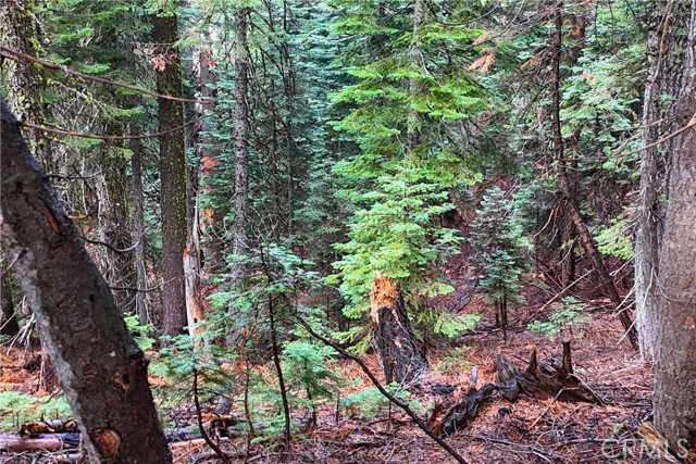 Detail Gallery Image 16 of 17 For 1100 Cleghorn Dr, Quincy,  CA 95971 - – Beds | – Baths