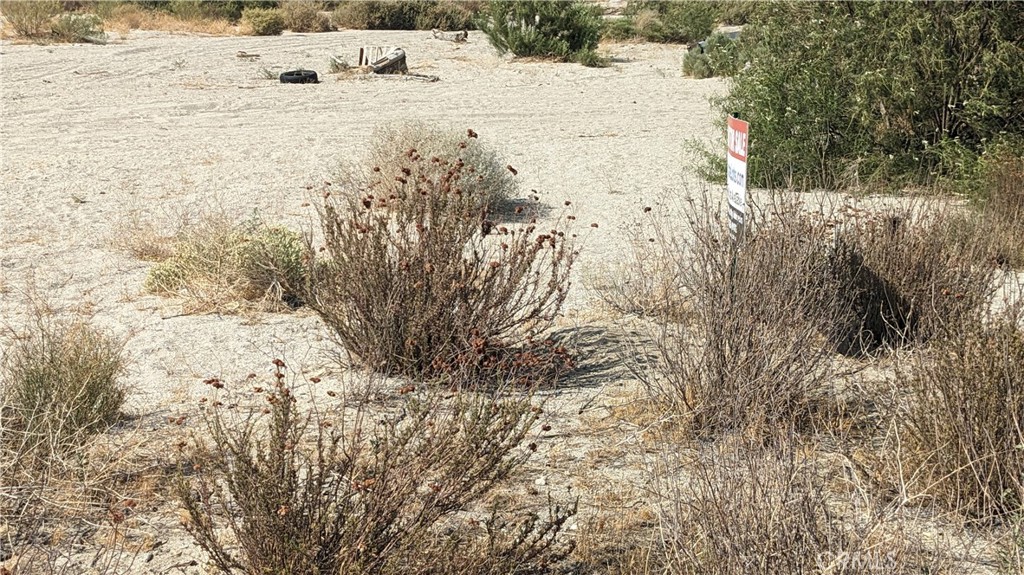 MLS #IG25173704 image #2