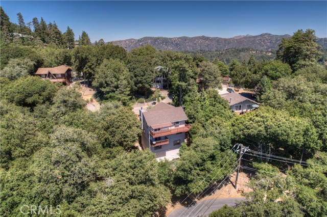 Detail Gallery Image 54 of 62 For 24355 Wabern Ct, Crestline,  CA 92325 - 4 Beds | 3/1 Baths