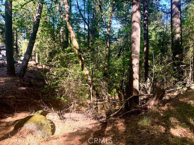 Image 1 of 7 For 17325 Fernbrook