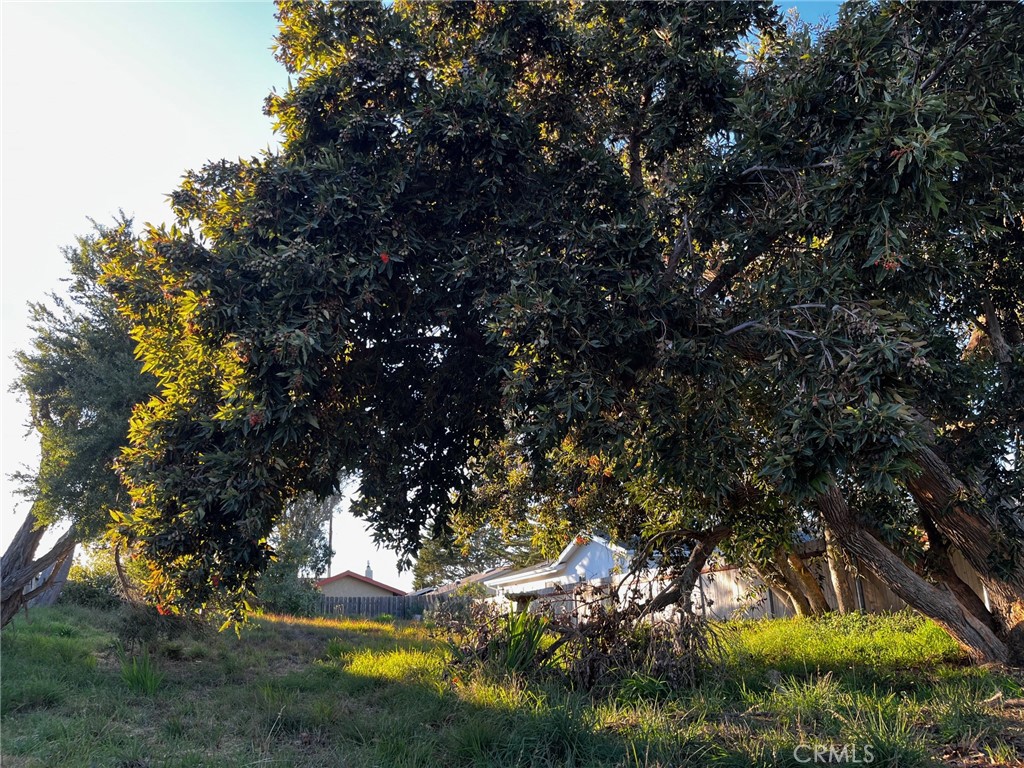 MLS #SC25022080 image #7