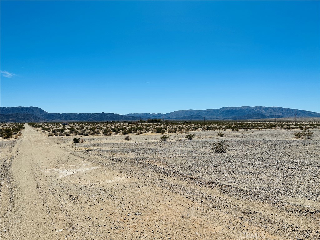 MLS #JT24201053 image #6